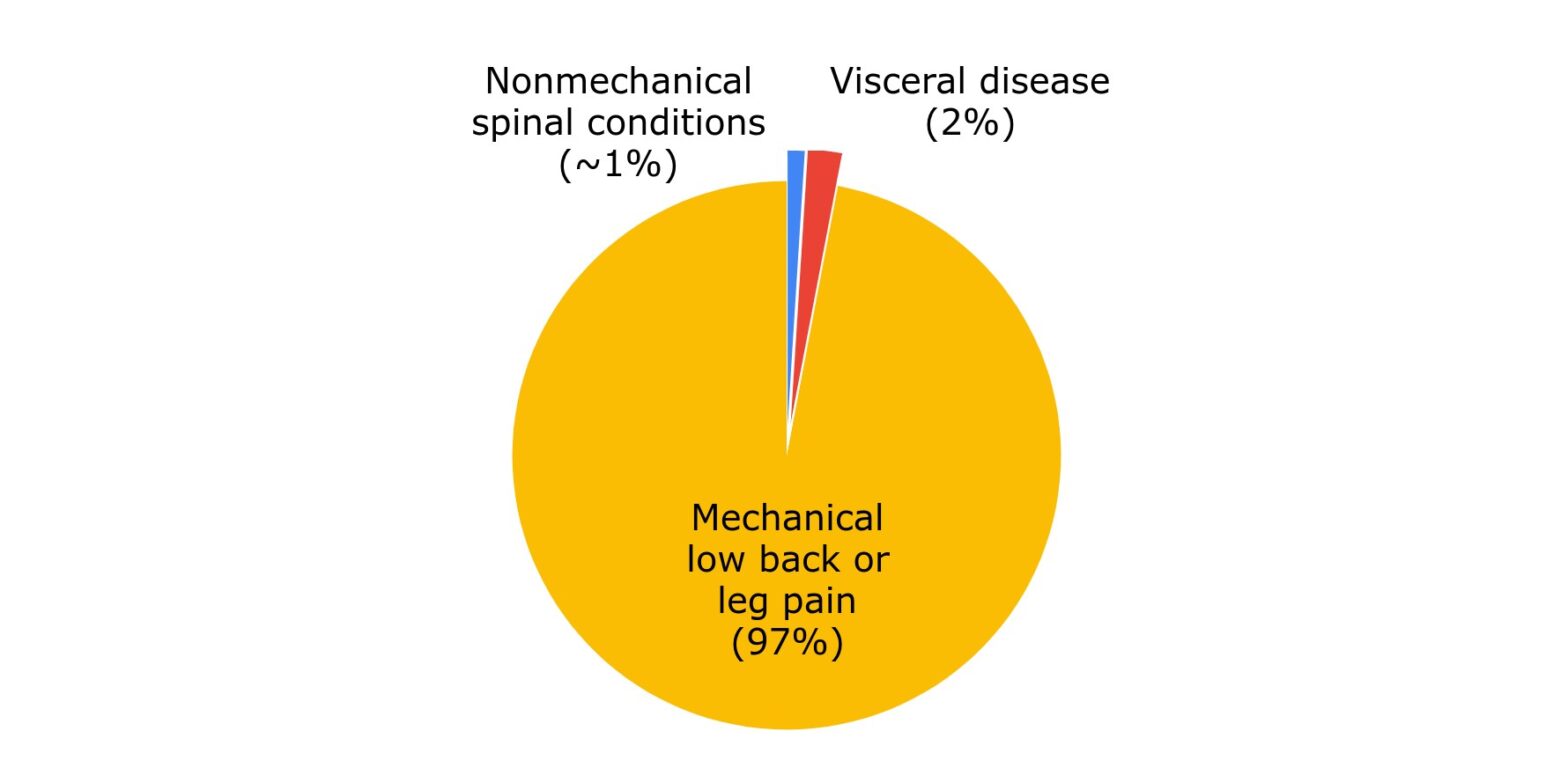 Differential Diagnosis of Back Pain